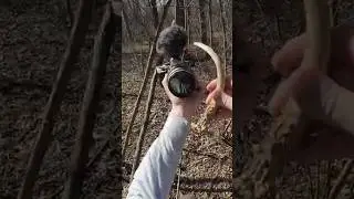 It takes real skill to find a shed like this… 🦌
