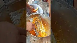 ТЫКВА ДЛЯ КУР! 22 мая 2024 г.