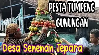 KEROYOKAN TUMPENG GUNUNGAN DI PESTA SEDEKAH BUMI DESA SENENAN JEPARA