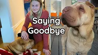 Traveling 1,500 Miles to See My Sick BFF (ONE LAST TIME)