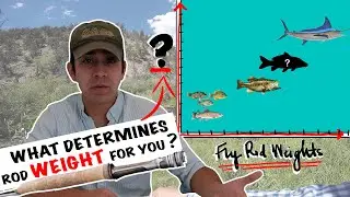 Fly Rod Weights Explained