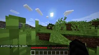 Minecraft 1.17 for the First Time