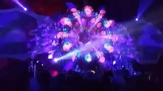 Fungus Funk на Shankra Festival 2019