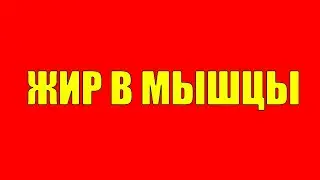 Как жир превратить в мышцы, Как одновременно сжигать жир,  наращивать мышцы, накачаться сбросить жир