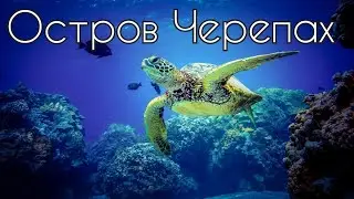 Остров Курьез или черепаший остров / Сейшельские острова
