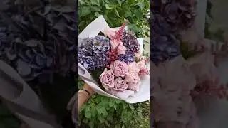 Удивительная гортензия с сиреневыми розами #shorts