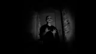 Tape Head x NONI // Herzblut
