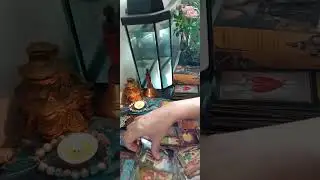 Соперница сегодня🧐😎