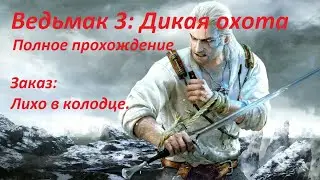 Прохождение: Ведьмак 3. Заказ: Лихо в колодце.