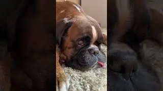 Мой сладкий Тазик