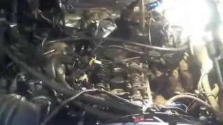 Тосол в цилиндрах