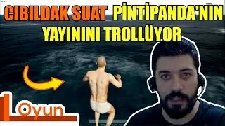 Cıbıldak Suat Trolling PintiPanda's Stream - Stream Trolling 1