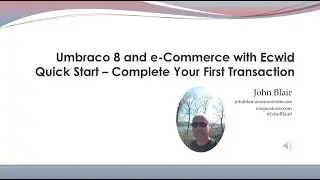 Umbraco 8 and e-Commerce with Ecwid - Quick Start
