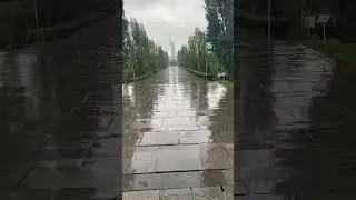 26 июля 2024 г.