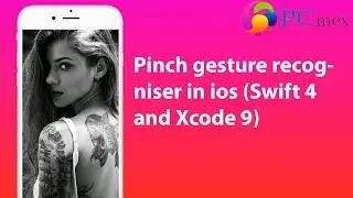 Pinch gesture recogniser in ios (Swift 4 and Xcode 9)