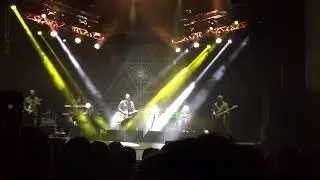 Сплин - Лепесток (live)