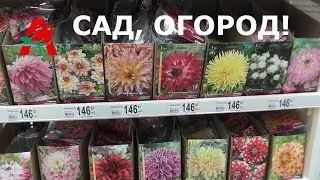 #VLOG Обзор товаров для сада в магазине АШАН! Цены на семена и цветы!