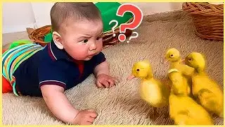 ये सारे मिलके हम को पागल बना रहे हैं! FUNNIEST KIDS CAUGHT ON CAM 3