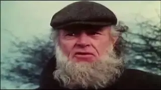 Best Scene in Deadly Strangers (1975)