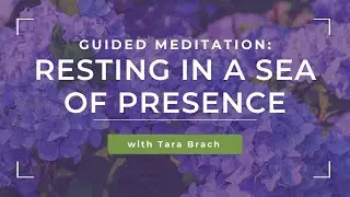 Guided Meditation: Resting in a Sea of Presence with Tara Brach