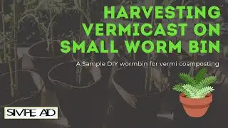 VERMI COMPOSTING DIY WORM BIN MAINTENANCE SAMPLE WAY HARVESTING WORM CASTING