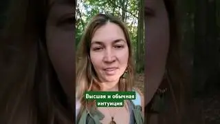 Высшая и обычная интуиция #буддизм
