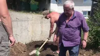Сажаем персик и виноград на Канале