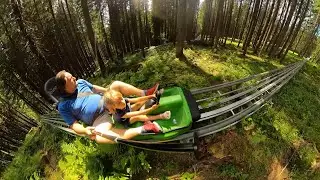 Bob pe şină în pădure, la Lacul Roşu/Cheile Bicazului/GoPro Max footage