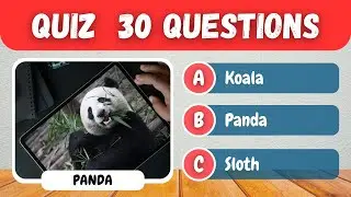 Animal Quiz 30 Questions and Answers About Animals