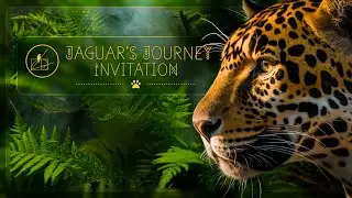 Jaguar's Journey Invitation