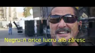 Compact - Toamna in sufletul meu