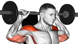Get Strong and Defined Shoulders: Top Workouts with Barbell and Dumbbells