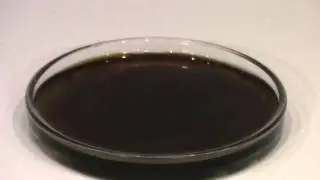Aminoplast aus Anilinhydrochlorid und Formaldehyd