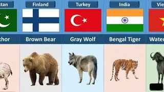 National Animals From Different Countries