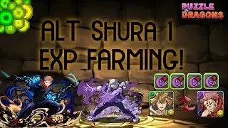 PAD | 2P Alt Shura 1 EXP Swap | 10:41s clear! [Yuji x Mahito]