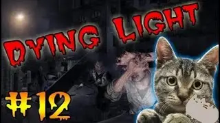 Dying Light   ЭТО КОШКА ДАААА!11!1!   №12
