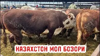 КАЗАХСТОН МОЛ БОЗОРИ НАРХЛАРИ👍🏻