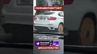 🚗 🪵 The wooden wheel on a BMW is genius (translated by Megan Keighley)