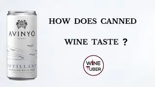 How does canned wine taste? It is canned wine worth a try? | 