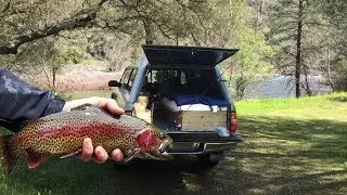 Truck Camp Trout Fishing