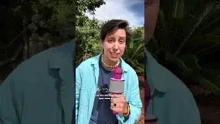 Como fazer boas escolhas? | Sofia Trindade #dicas #saudemental #inspirador #humor