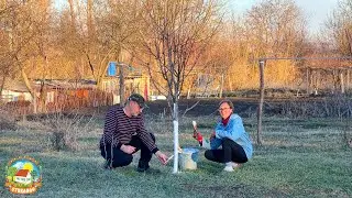 ВОТ ПОЧЕМУ мы купили ДОМ НА ЮГЕ и возвращаться в холодную МОСКВУ НЕ ХОТИМ!