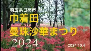【日高市 巾着田曼珠沙華まつり2024】500万の彼岸花で赤く染まる驚異の光景が広がっています。