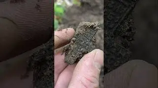 Обалденная находка🔥 Такого я еще не находил… 