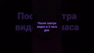 текто водит хороводы