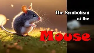 The symbolism of the Mouse