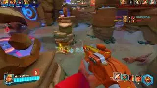 paladins