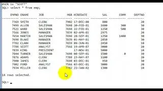 LEC#08 Arithmetic Operator In SQL