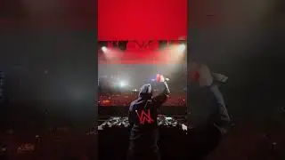 Are you lonely? #alanwalker #steveaoki