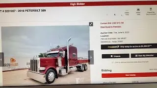 Надумал продать свой Питербилт и ищу ￼ новый проект с котёнком ￼ Caterpillar Peterbilt 389 ￼￼ ￼